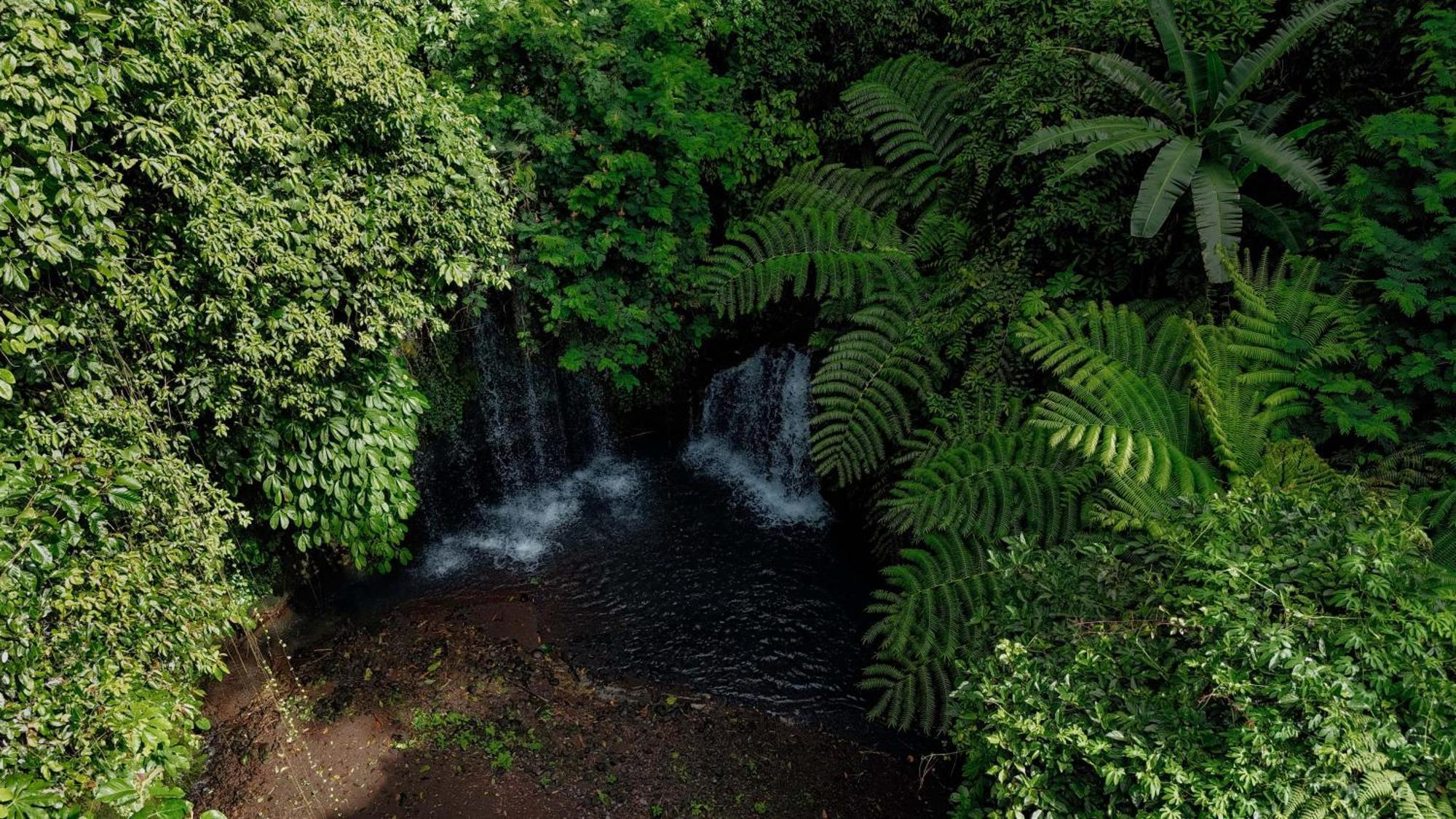 Santya Loka Lodge & Twin Waterfall Jatiluwih Exterior foto